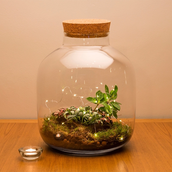 diy objet avec végétaux original, modèle de gros bocal en verre fermé rempli de mousse et billes d’argile avec plantes humides