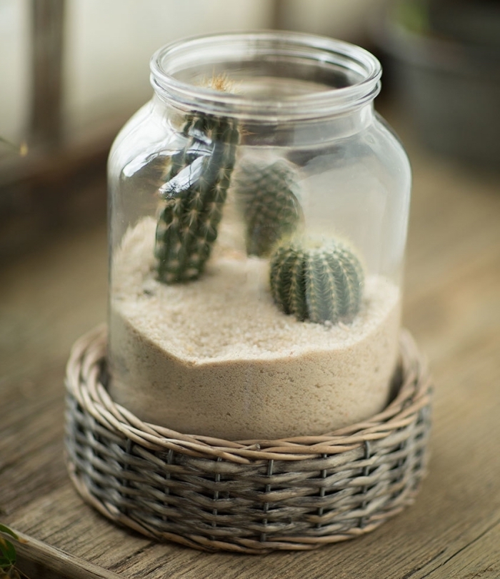 exemple de jardin de cactus avec sable et terreau plante sol sec, modèle terrarium facile dans un bocal en verre ouvert