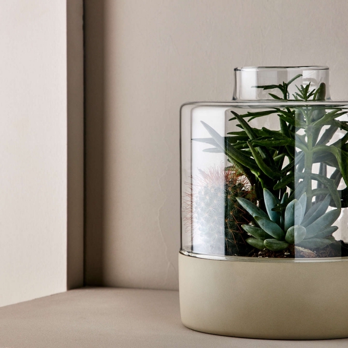 modèle de terrarium stylé et moderne dans un gros bocal en verre, idée mini jardin intérieur avec plantes vertes