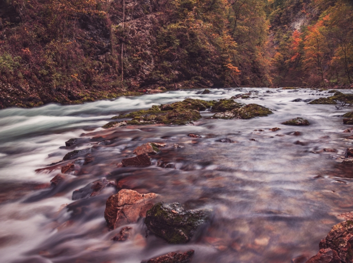 rivière, forêt, roques, paysage pour fond d'écran, images d'automne pour fond d'écran