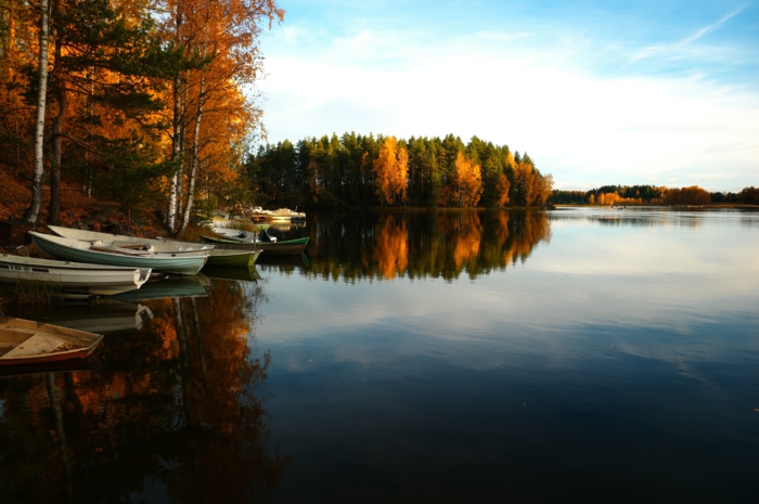 fond ecran automne, barques près de la rive, grand lac bleu, forêt de bouleau