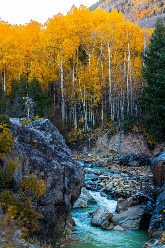 forêt de montagne, roques, rivière, colline aux arbres en couleur d'automne
