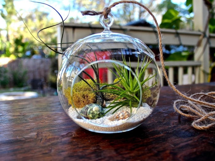 diy idée pour objet de déco avec végétaux, modèle de mini jardin suspendu dans un aquarium rond avec corde