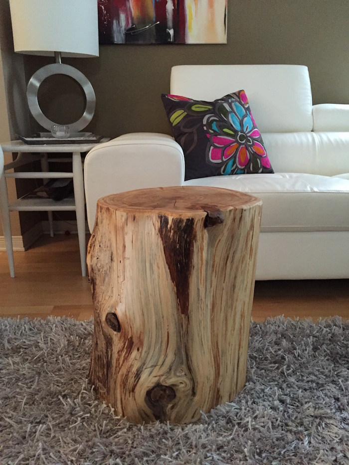 utiliser un tronc d'arbre pour fabriquer une table basse ou tabouret en rondin de bois naturel