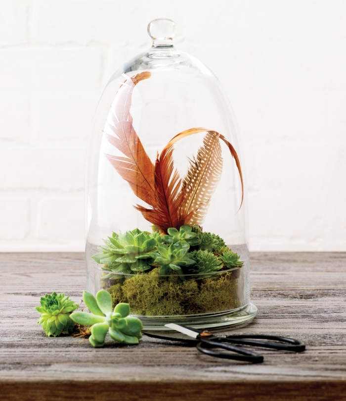 idée pour un terrarium bocal facile avec plantes humides et mousse, déco de mini jardin exotique avec plumes