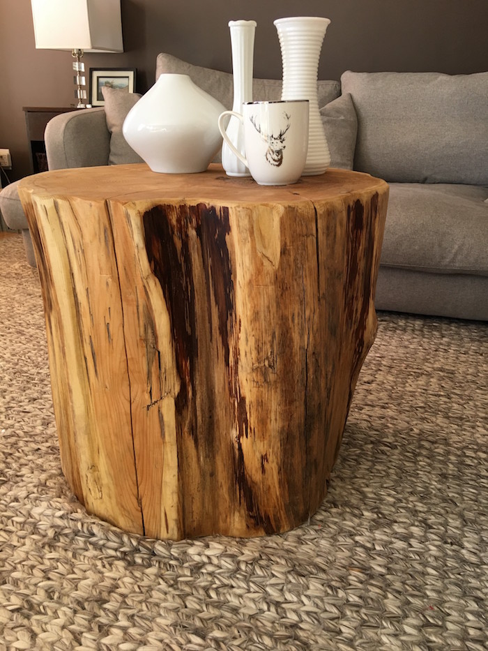 faire table basse avec souche d'arbre nature en bois poncé comme élément déco rustique