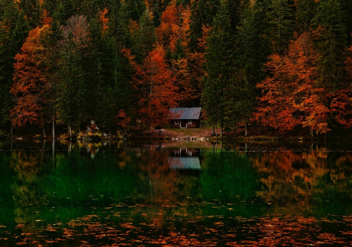 cabane dans la forêt, lac avec feuilles tombées, cabane au bord du lac, arbres plongés dans une couleur rouge