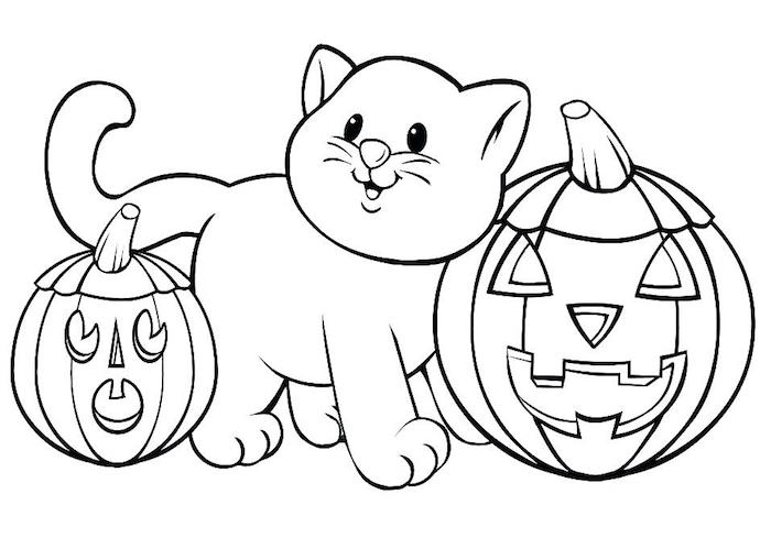 dessin pour tout petit de chaton avec citrouilles pour coloriage theme halloween