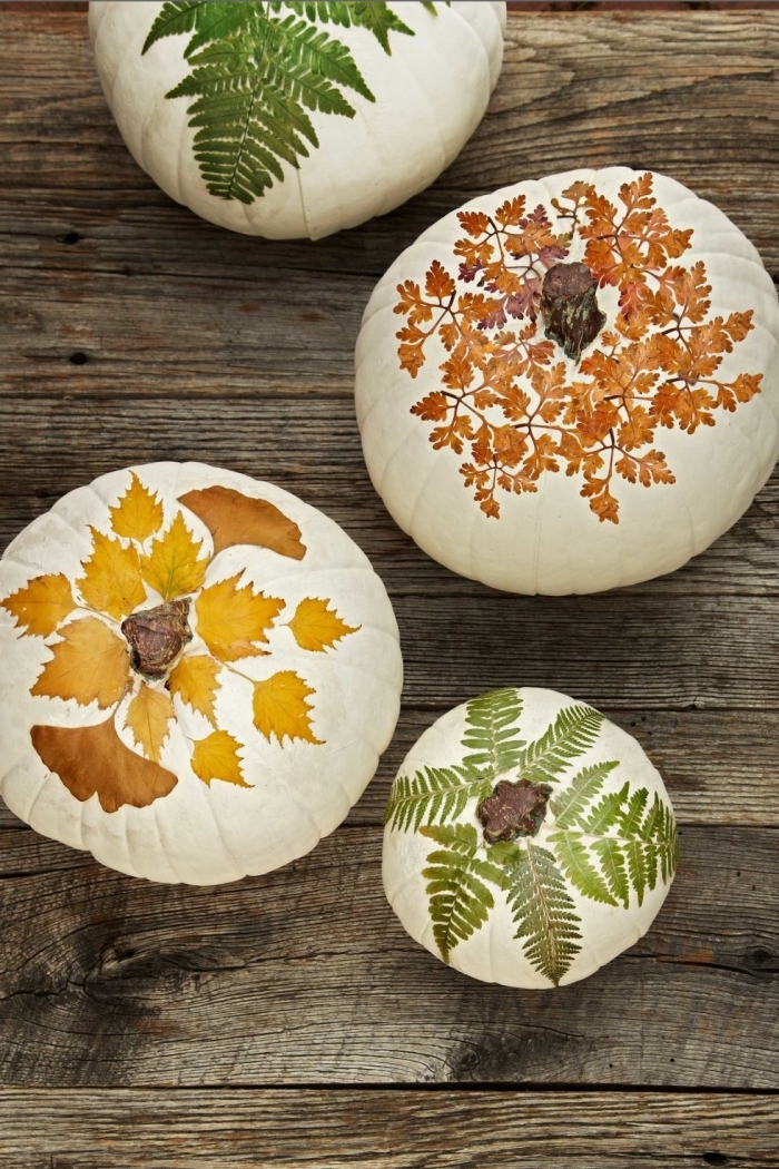 activité manuelle d'automne avec citrouille et feuilles séchées, modèle de citrouille blanche décorée avec feuilles et fleurs séchées