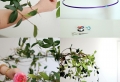 Déco mariage champêtre à faire soi-même – découvrez les secrets pour un joli mariage bucolique