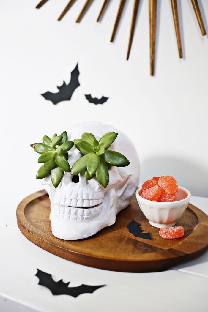 decoration halloween en crâne artificielle avec cavités oculaire décorés de plante succulente et des silhouettes en papier chauve souris