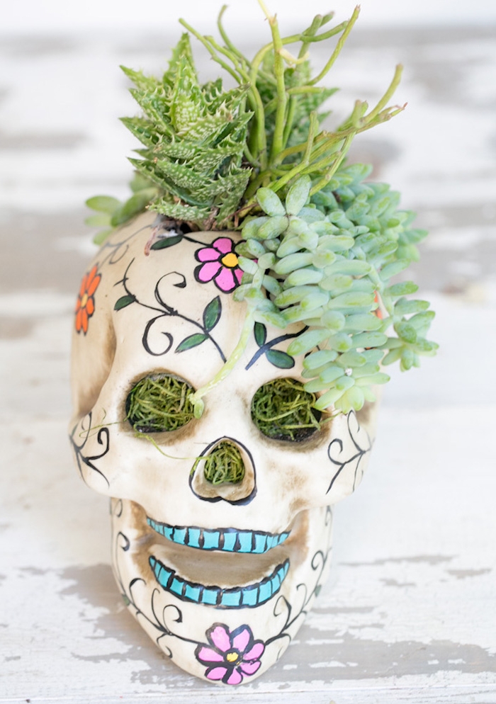 crâne à dessins tete de mort mexicaine décorée avec des plantes grasses, deco halloween fait maison originale