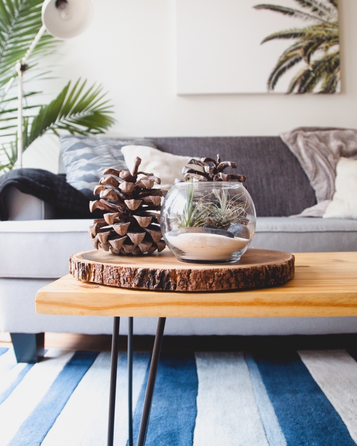 déco cozy et minimaliste dans un salon aménagé avec canapé et décoré avec plantes vertes et objets diy, pomme de pin deco