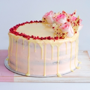 Recettes et astuces pour réussir votre nappage gâteau - plus de 100 idées pour perfectionner vos gâteaux