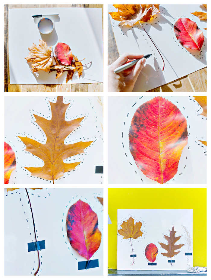 land art avec des feuilles mores aux contours dessinés sur un bout de papier blanc, activités manuelles sur l automne