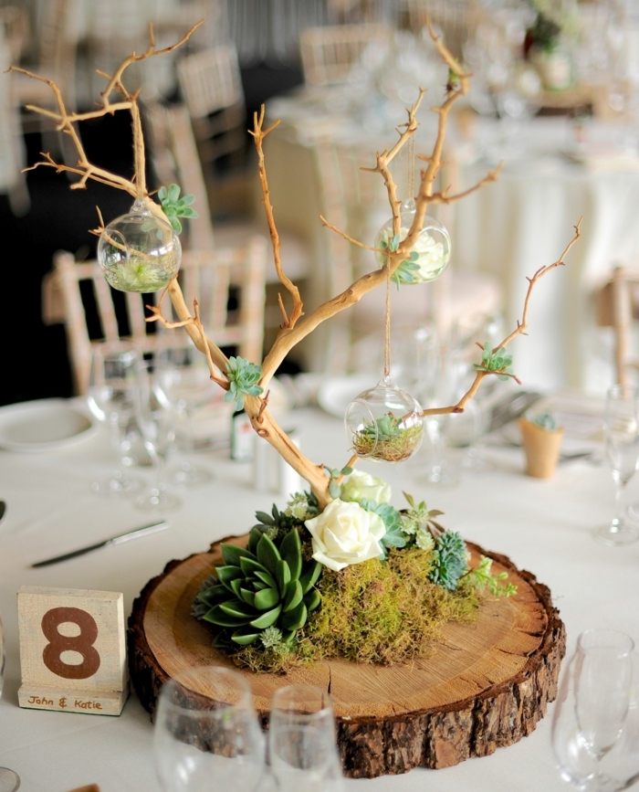 rondin de bois centre de table, succulents et arbre décoratif, petits terrariums aux branches