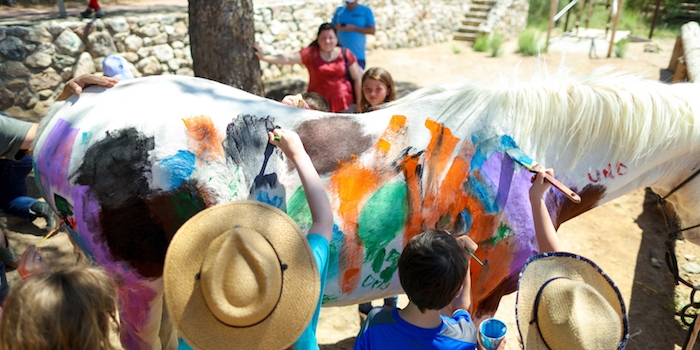 peindre sur un cheval avec de la peinture effaçable, idée d anniversaire inspiration western, campagne, anniversaire 9 ans