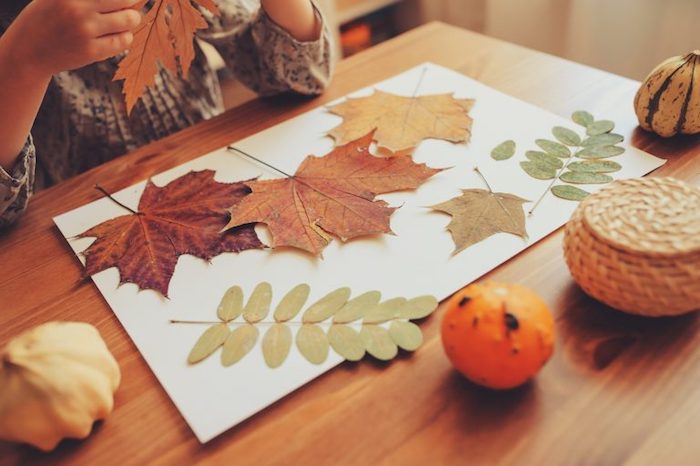 creation land art facile a faire, feuilles mortes et branches collées sur du papier, activité manuelle maternelle automne