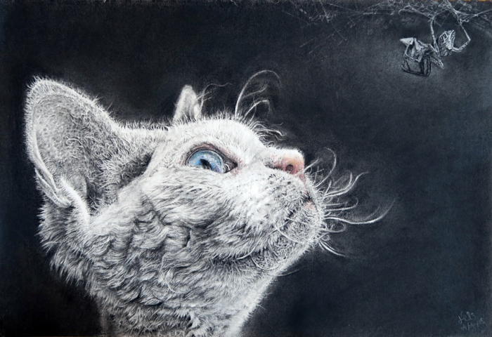 Crayon fusain dessins animal fusain, dessin noir et blanc difficile a reproduire, chat adorable dessin au fusain blanc, chaton mignon avec yeux bleus