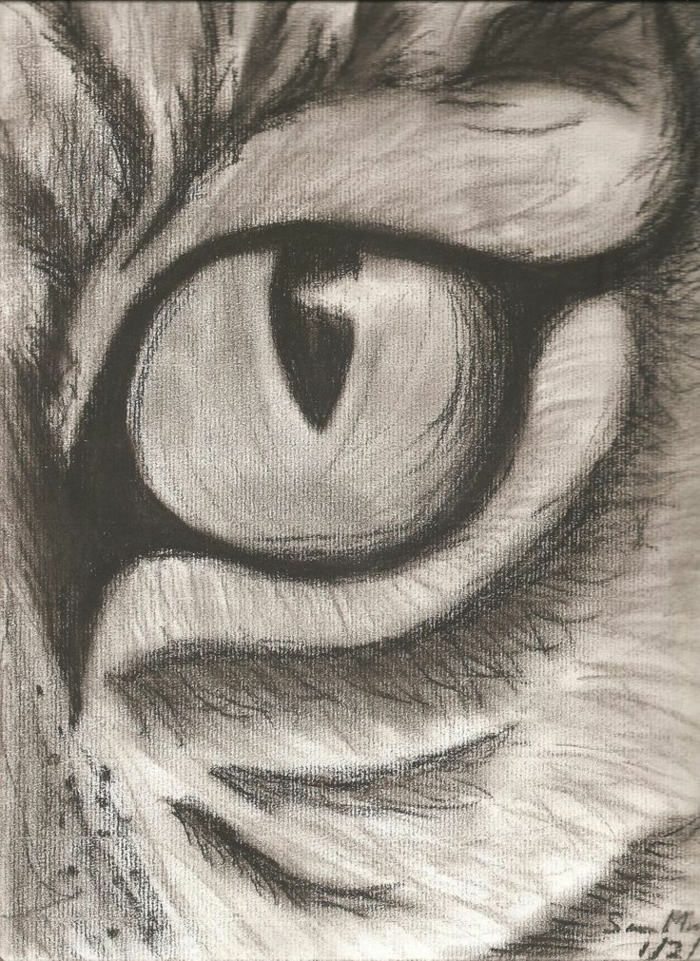 Une idée de dessin au fusain animal oeil, dessin facile a reproduire, idée portrait d'animaux, tigre oeil avec grands lignes
