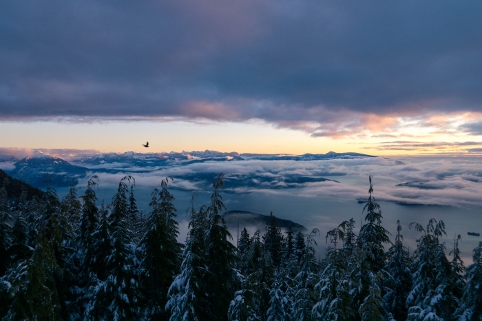 magnifique photo de coucher du soleil en hiver, image vol d'un oiseau au-dessus des sommets enneigés et un ciel nuageux