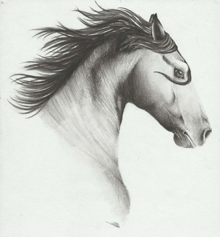 Dessin pour debutant cheval, dessin noir et blanc facile, technique pas a pas, choisir de dessiner un cheval avec tout ses details