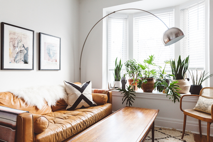 rebord de fenêtre décoré de plantes vertes exotiques, idee deco salon moderne en canapé de cuir marron, table basse bois