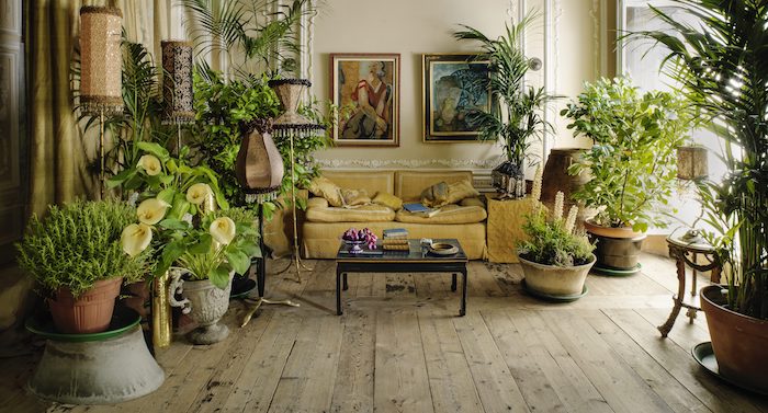 salon décoré en style vintage, canapé jaune vintage, parquet bois brut, deco mur de cadres art, plusieurs de grande plante interieur