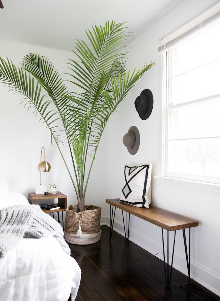grande plante interieur, palmier dans un cache pot de panier rotin, chambre à coucher moderne, banc bois et metal, linge de lit blanc et gris, chapeaux rangés sur mur blanc