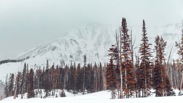 joli fond d écran hiver, exemple photo gratuite pour pc, wallpaper hiver dans les montagnes, photo sommets enneigés