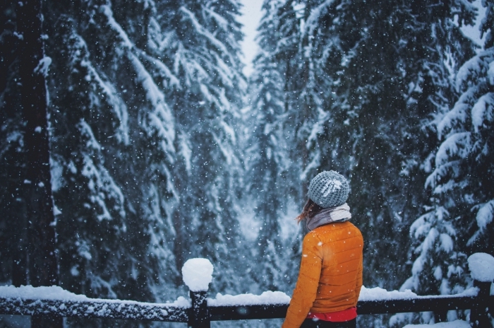 photo de fille habillée en vêtements chauds observant la nature d'hiver dans une forêt enneigée, image flocons de neige sur les arbres conifères