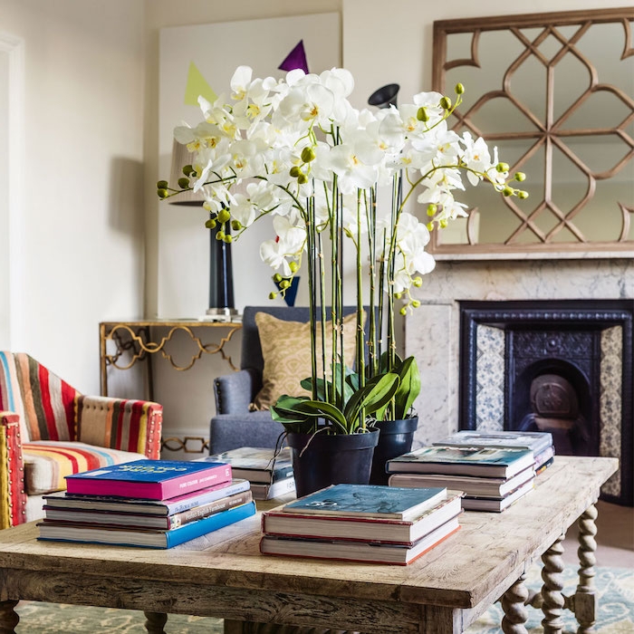 plante d intérieur fleurie orchidées blanches en pot sur une table bois brut, entourées de piles de livres, cheminée, fauteuil à rayures, deco salon originale
