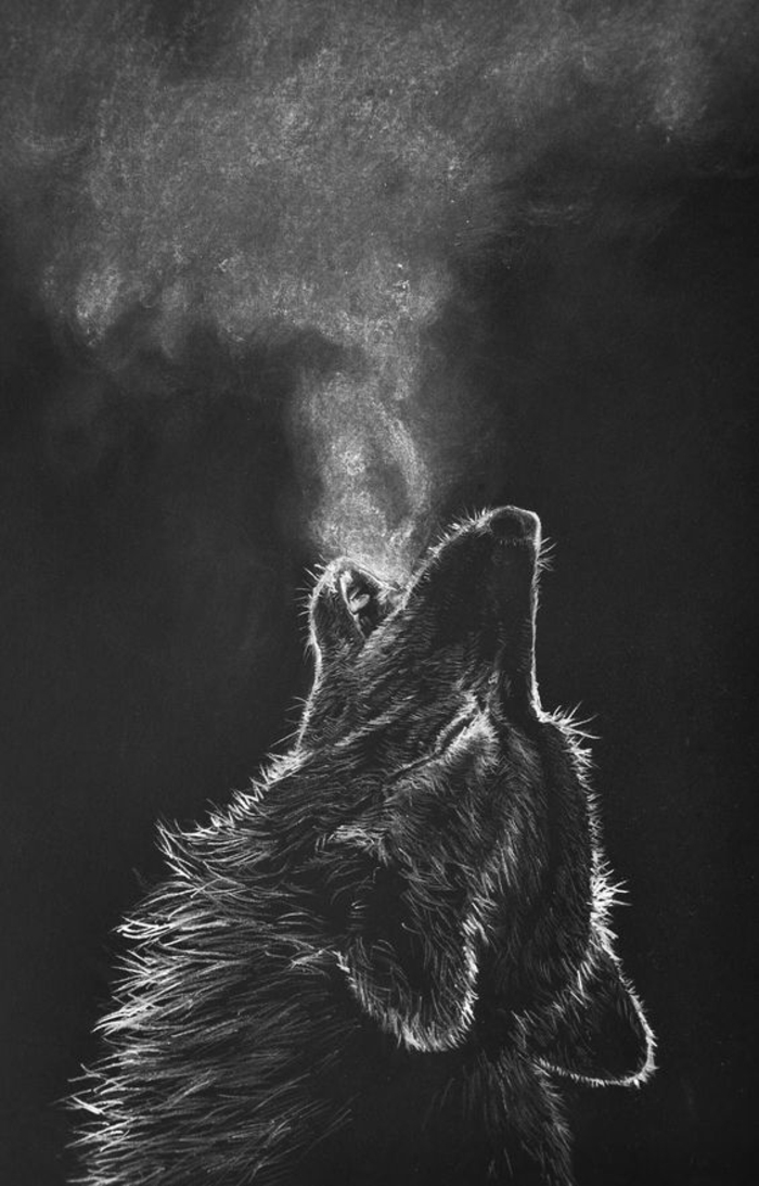 Dessin maître, chef d'oeuvre dessin au fusain blanc sur papier noir, idée comment dessiner au fusain un loup