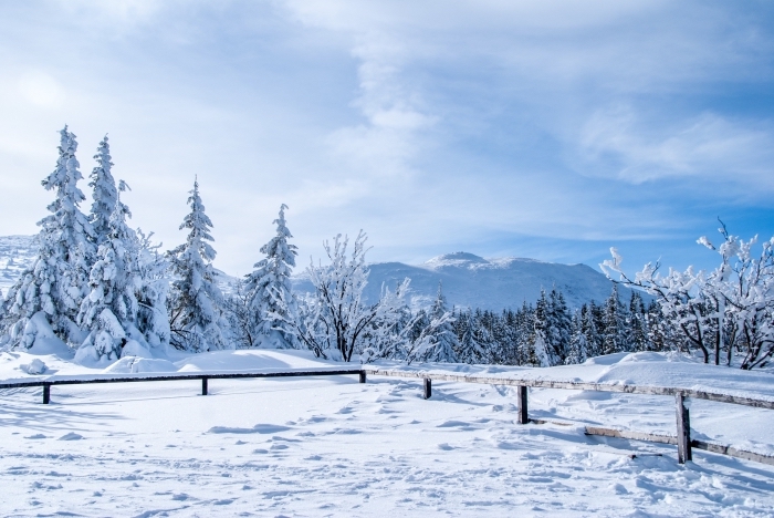 fond d écran noel avec nature dans les montagnes et plein de neige, photo magnifique de la nature en hiver