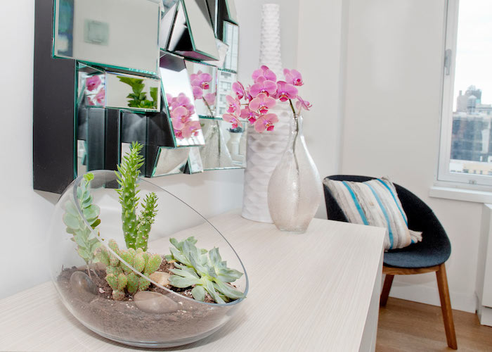 exemple de plante fleurie intérieur, orchidée couleur rose et un terrarium avec plante grasse intérieur et cactus