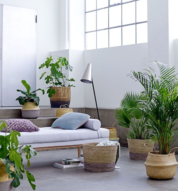 canapé lit en bois avec matelas gris clair et coussins décorarifs entouré de plantes exotiques en pot, palmiers et cache pot tressé
