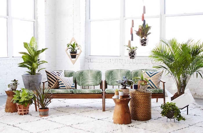 deco salon tropical avec canapé bois, dossier et coussins à imprimé palmier, plusieurs pots de fleurs suspendus et posés, mur de briques blanches, tapis blanc