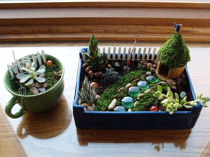 idée de petit jardin de fée avec des succulents, mousse florale, galets et petites figurines originales, les plus belles plantes d intérieur