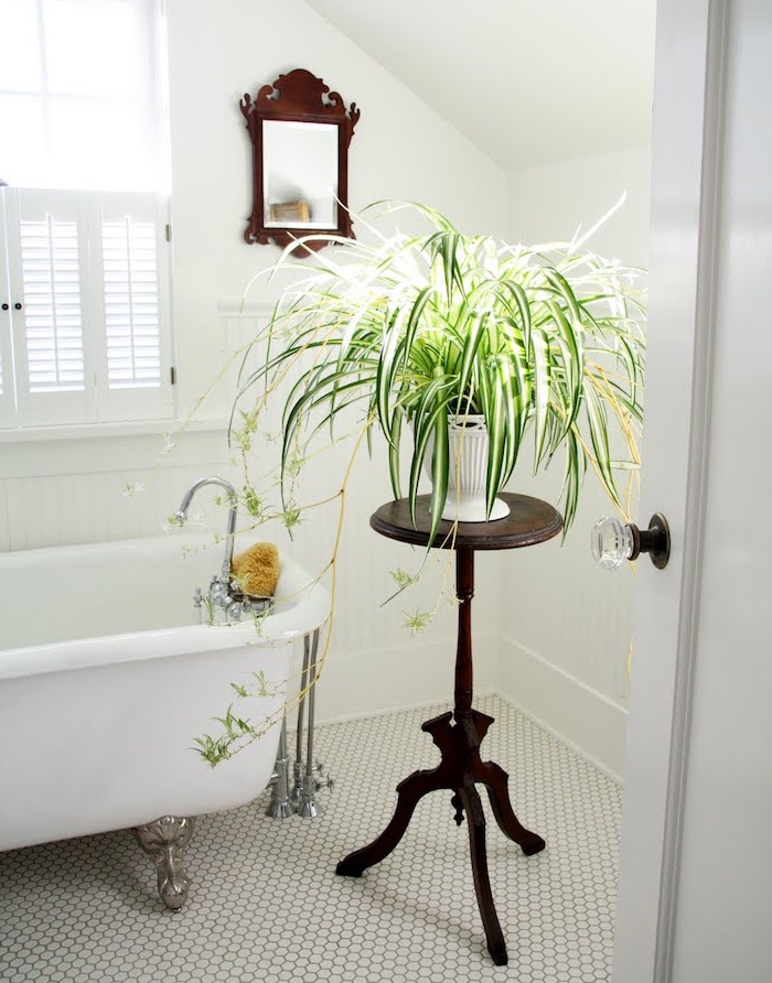deco murs salle de bain blancs, baignoire blanche sur sol carrelage blanc, plante verte sur une table ronde bois
