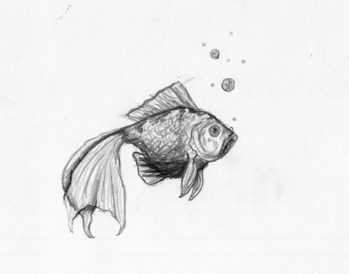 Faire un beau dessin facile a reproduire, dessin noir et blanc facile et beau, poisson dans l'eau, boules d'air dans l'eau