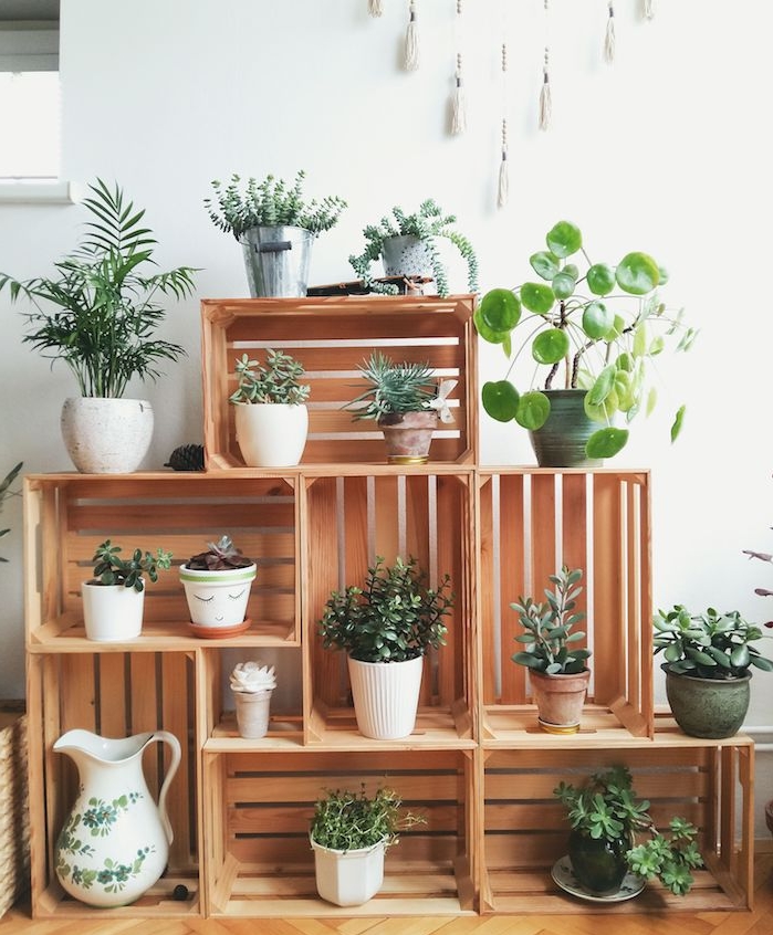 comment exposer ses plantes d intérieur vertes sur étagère cagette bois, plantes vertes en pot sur fond de mur blanc