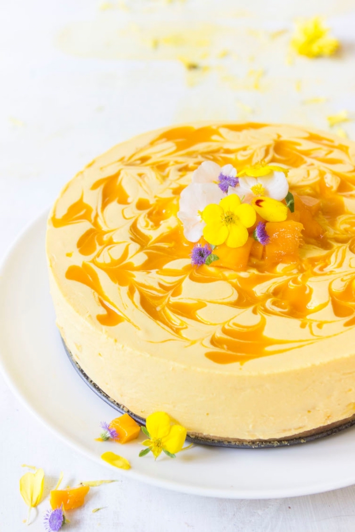 1001 Recettes Gourmandes Pour La Preparation D Un Gateau Cheesecake Sans Cuisson