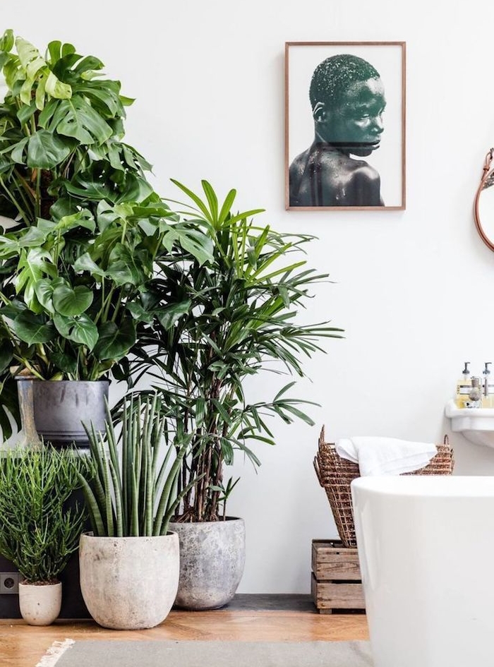 salle de bain avec baignoire blanche et de spots de plantes tropicales, deco africaine, portrait deco murale