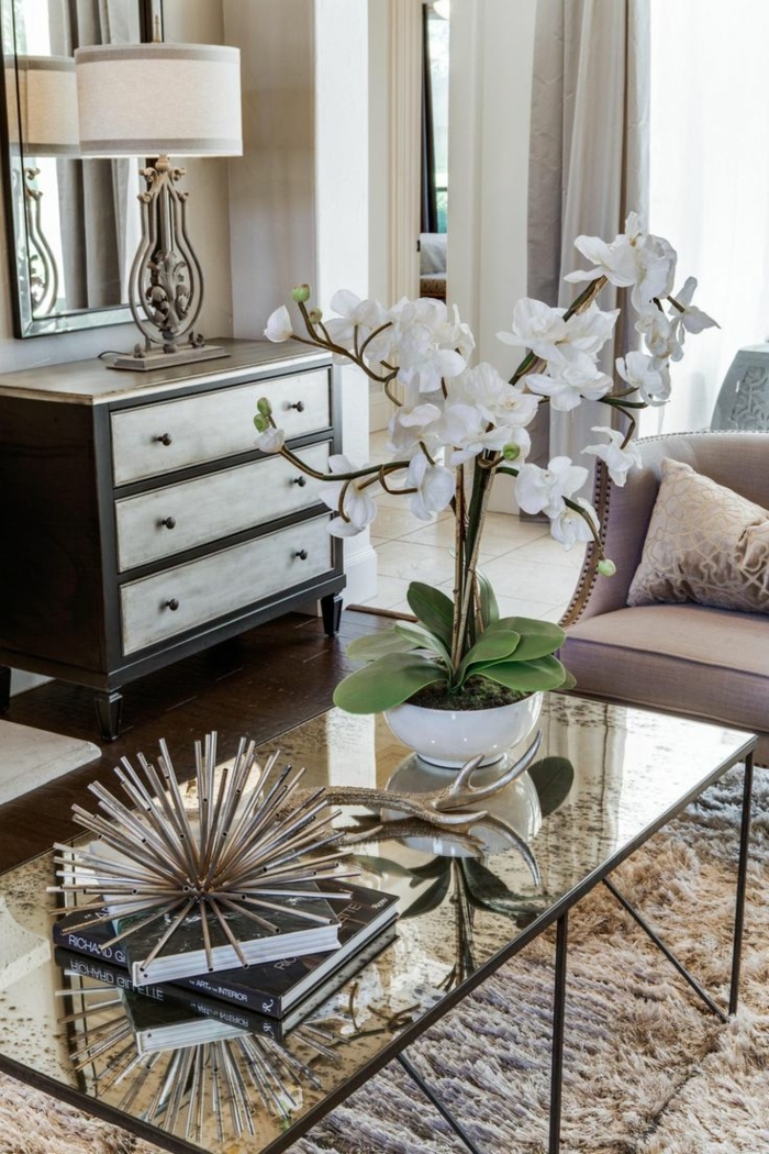 table basse en verre, grande orchidée blanche, lampe de table abat jour sur une commode vintage, tapis poilu beige