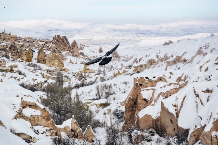 fond d écran gratuit pour ordinateur, photo de la nature hivernale et le vol d'un oiseau au-dessus d'un village dans les montagnes