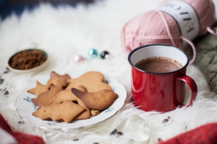 idée petit déjeuner père Noël avec cookies et boisson chaude fait maison, recette chocolat chaud cacao en poudre