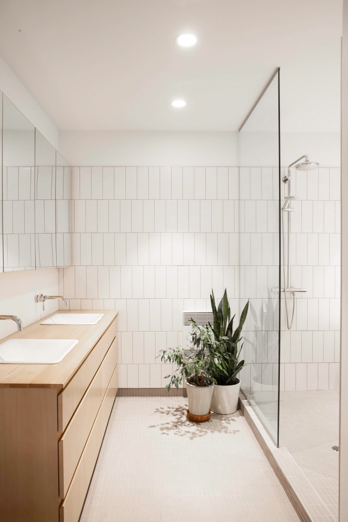 quel meuble sous vasque pour une petite salle de bain avec douche, exemple déco avec plantes dans une salle de bain sans fenêtre