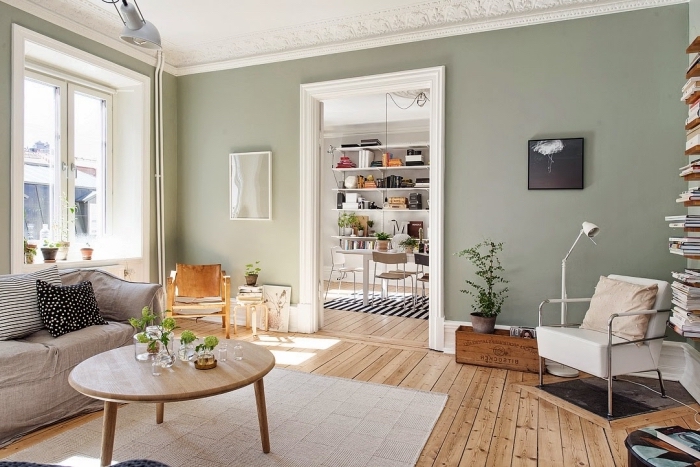 idée couleur de peinture pour salon salle a manger tendance, déco relaxante aux murs gris verdâtre et meubles en bois clair