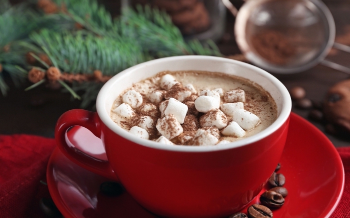 comment servir une boisson chaude de noel au chocolat et guimauves, recette chocolat chaud thermomix facile