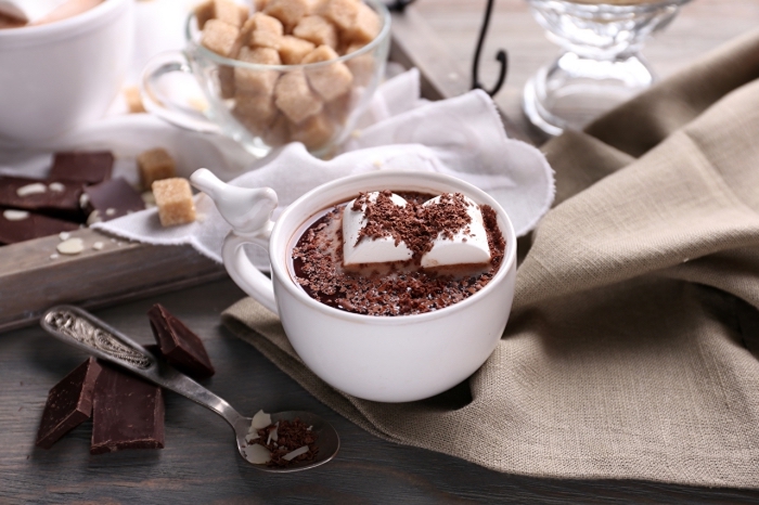 recette chocolat chaud épais, comment préparer une boisson au chocolat fondu et lait, mug tasse de café avec poignée à design oiseau 3D